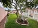 Serene backyard with white picket fence, quaint bench beneath a tree, and lush green lawn, perfect for relaxation at 728 Ramirez Ave, The Villages, FL 32159