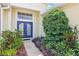 A vibrant blue double door stands out, framed by lush plants and a sidewalk at 8043 Pine Hollow Dr, Mount Dora, FL 32757