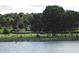 Picturesque lake view featuring a wooden pier and grassy area with benches and palm trees at 8043 Pine Hollow Dr, Mount Dora, FL 32757