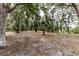 A tranquil backyard featuring scattered trees and natural ground cover, set in a peaceful, wooded environment at 12196 Ne 4Th Pl, Oxford, FL 34484