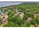 Breathtaking aerial view of a quiet neighborhood with mature trees at 1254 Magnolia Farms Ct, Eustis, FL 32726