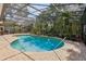 Inviting screened pool with a well maintained stone surround and lush greenery at 1254 Magnolia Farms Ct, Eustis, FL 32726