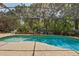 Sparkling screened-in pool surrounded by lush landscaping and a brick paver deck at 1254 Magnolia Farms Ct, Eustis, FL 32726