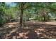 Spacious yard with mature trees offering ample shade at 1254 Magnolia Farms Ct, Eustis, FL 32726