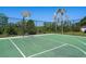 Outdoor basketball court features a green surface, a functional hoop, and secure perimeter fencing with scenic landscape backdrop at 15501 Markham Dr, Clermont, FL 34714