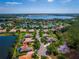 Aerial view of lakeside community with luxury homes, lush greenery, and lake access at 2029 Stefano Ct, Mount Dora, FL 32757