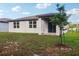 Backyard view featuring a newly planted tree and a covered patio at 28078 Poppy Ct, Leesburg, FL 34748