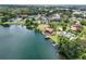 Aerial view of lakefront homes showcasing lush landscaping and serene waterfront living at 3011 Lake Woodward Dr, Eustis, FL 32726