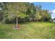 Large green backyard featuring mature trees and shrubs at 3828 Arbordale Ct, Leesburg, FL 34748