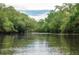 Scenic river view surrounded by lush green trees and foliage, showcasing a tranquil and natural environment at 4746 Cr 300, Lake Panasoffkee, FL 33538