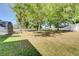 A shot of the backyard, surrounded by a white fence, and several trees adding shade to the lawn at 605 Westview Dr, Minneola, FL 34715