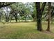 Large, grassy yard surrounded by mature trees, creating a private and picturesque landscape at 7938 Jacksons River Rd, Leesburg, FL 34788