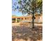 Spacious backyard partially shaded by mature trees with trampoline in the distance at 802 Haselton St, Eustis, FL 32726