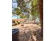 Large backyard with mature trees and partial view of the back of the home at 802 Haselton St, Eustis, FL 32726