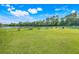 Scenic view of a lush green golf course with a tranquil pond and comfortable seating for spectators at 9081 Saint Andrews Way, Mount Dora, FL 32757