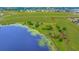 Scenic aerial view of lakefront property with a sprawling green field and tree coverage at 9510 Suggs Rd, Clermont, FL 34711