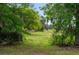 Lush backyard featuring mature trees and sprawling greenery, perfect for outdoor activities at 9510 Suggs Rd, Clermont, FL 34711