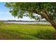 Idyllic lakeside scenery with verdant grass and a large tree adding natural beauty to the waterfront property at 9510 Suggs Rd, Clermont, FL 34711