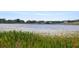 Picturesque lake view showcasing aquatic plants and vibrant purple wildflowers at 9510 Suggs Rd, Clermont, FL 34711