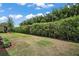 Well-maintained lawn bordered by a tall, thick hedge, creating a private backyard space at 10021 Lake Miona Way, Oxford, FL 34484