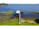Aerial view showcasing the extended dock on a serene lake with lush green shoreline at 16047 E Shirley Shores Rd, Tavares, FL 32778