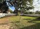 A large fenced in backyard with mature trees and green grass at 1805 Ne 29Th Pl, Ocala, FL 34479