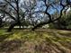 Sprawling backyard with mature trees and lush grass at 18130 Keene Rd, Altoona, FL 32702