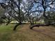 Picturesque backyard with mature trees, providing ample shade and a serene natural setting at 18130 Keene Rd, Altoona, FL 32702