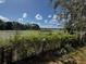 Scenic view of the serene lake bordered by lush greenery and lily pads, creating a tranquil atmosphere at 18130 Keene Rd, Altoona, FL 32702