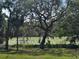 Picturesque view of a peaceful pond with lush greenery, surrounded by mature trees and vegetation at 18130 Keene Rd, Altoona, FL 32702
