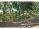 Lush backyard with vibrant foliage and mature trees offering a serene escape at 1860 Park Forest Blvd, Mount Dora, FL 32757