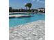 Community pool featuring crystal clear water, sun loungers, and landscaping at 2048 Airedale Way, Lake Alfred, FL 33850