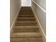 Carpeted staircase with white railing leading to the upper level of the home at 2048 Airedale Way, Lake Alfred, FL 33850