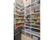 Well-organized walk-in pantry with ample shelving for food storage and kitchen essentials at 25524 Maurepas Ln, Leesburg, FL 34748