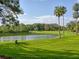 Scenic pond surrounded by green grass and mature trees, creating a tranquil outdoor space at 25524 Maurepas Ln, Leesburg, FL 34748