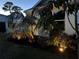 Beautiful landscaping with spotlights accentuating the tropical plants and flowers at 33635 Jeffery Ct, Leesburg, FL 34788
