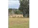 A backyard and field showcase several deer grazing in the distance, surrounded by mature trees at 6619 Ona Ct, Clermont, FL 34714