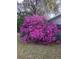 Vibrant pink azalea bushes decorate the side of the home, adding a pop of color to the exterior at 706 Michigan St, Mount Dora, FL 32757