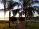 Scenic view of a serene lake framed by palm trees and lush greenery, perfect for relaxation at 10069 Lake Miona Way, Oxford, FL 34484