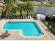 Aerial view of a community pool with lounge chairs and palm trees at 1413 Silverthorn Dr, Orlando, FL 32825