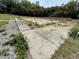 Concrete pad with grassy edges and adjacent trees showing land features and possible building site at 19621 Lake Lincoln Ln, Eustis, FL 32736
