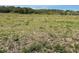 Vast open field with scattered vegetation, showcasing the property's potential for development or agricultural use at 19621 Lake Lincoln Ln, Eustis, FL 32736
