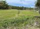 Expansive green field on the property, offering space for recreation and potential development at 19621 Lake Lincoln Ln, Eustis, FL 32736
