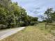 Scenic view of the property entrance along the tree-lined road, showcasing the natural surroundings at 19621 Lake Lincoln Ln, Eustis, FL 32736