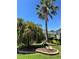 Charming front yard with a decorative tree, complemented by a tall palm and lush landscaping at 1985 Abordale Ln, The Villages, FL 32162
