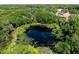 Scenic aerial view of a tranquil pond surrounded by dense greenery at 201 W Mirror Lake Dr, Fruitland Park, FL 34731