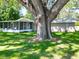 A tree shades the backyard featuring a screened in porch for outdoor living in a serene environment at 203 Se 30Th Ave, Ocala, FL 34471