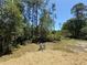 Backyard showing seeded grass at 43740 Sunset Dr, Paisley, FL 32767