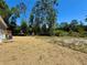 Expansive backyard showing newly installed sod and surrounding wooded area at 43740 Sunset Dr, Paisley, FL 32767