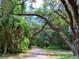 View of a tree-lined driveway at 43740 Sunset Dr, Paisley, FL 32767